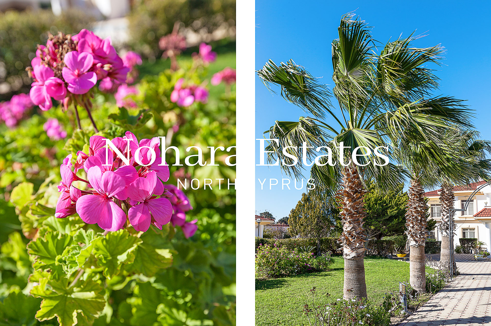 Kuzey Kıbrıs Lapta'da Büyük Bahçeli Villa 40