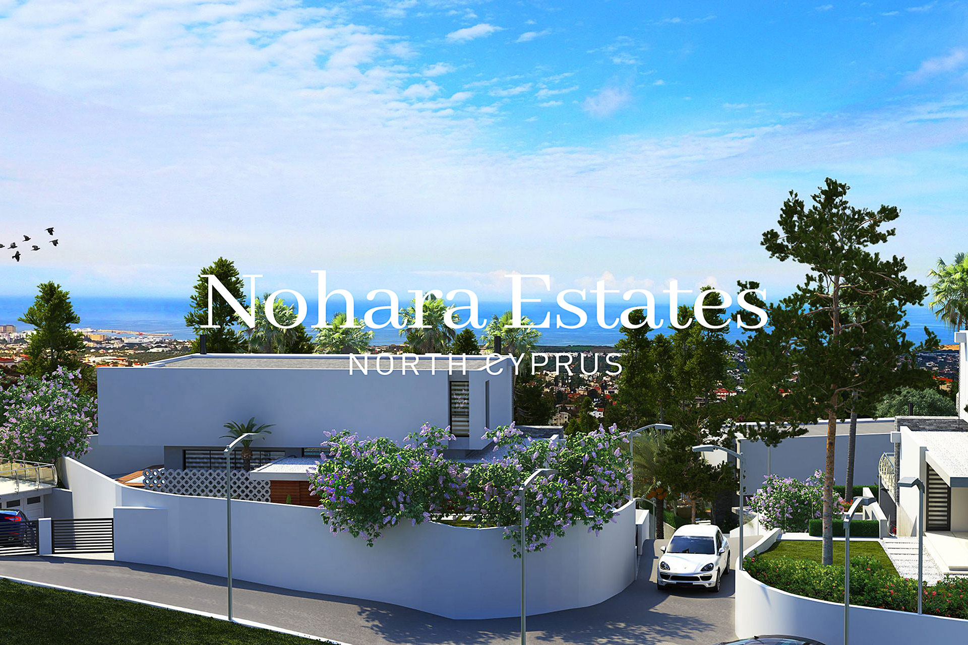 Bellapais Villas North Cyprus 3